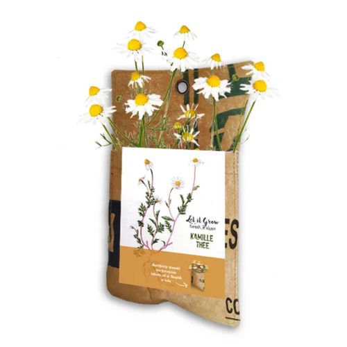 Hanging garden tea - Image 3